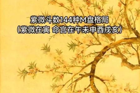 2025年3月22日寅时女命紫微斗数全解盘