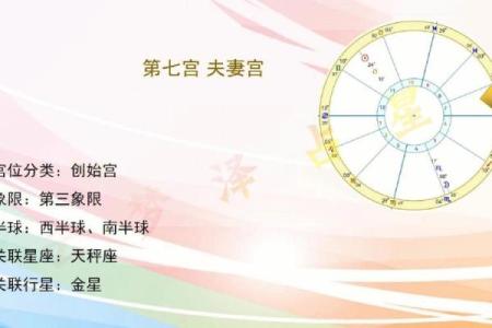 夫妻宫在哪个位置_夫妻宫位置解析如何准确找到你的婚姻宫位