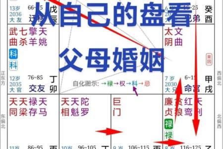 福德宫巨门化忌 福德宫巨门化忌命理解析与运势影响