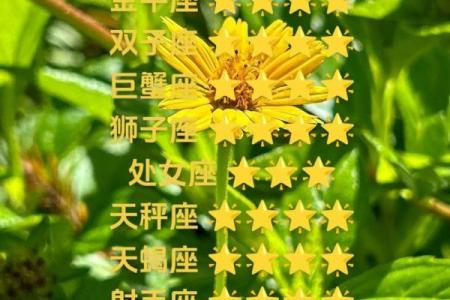 白羊座紫微星今日运势_白羊座紫微星今日运势解析好运降临机遇与挑战并存