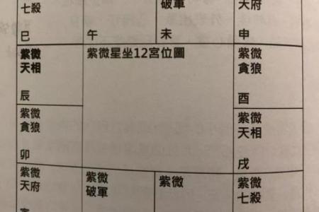 2025年3月9日子时男命紫微斗数全解盘