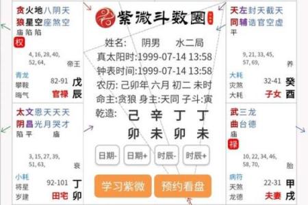 2025年3月22日丑时男命紫微斗数全解盘