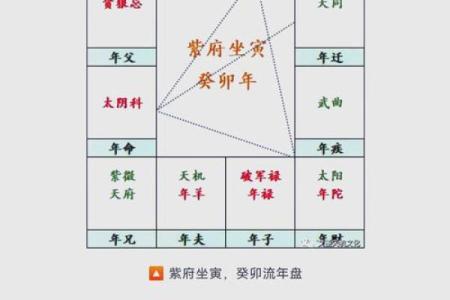 夫妻宫廉贞化禄_夫妻宫廉贞化禄揭秘婚姻幸福的关键星象