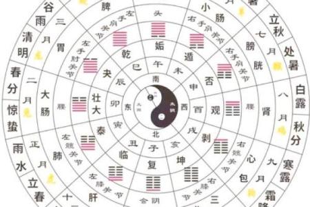 二黑巨门星五行属什么_二黑巨门星五行属性解析揭秘其神秘力量