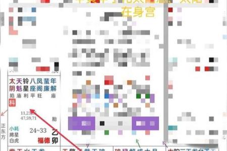 2025年2月23日寅时女命紫微斗数全解盘