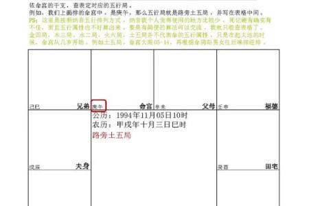 2025年2月18日子时男命紫微斗数全解盘