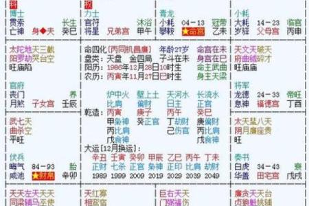 2025年3月12日丑时男命紫微斗数全解盘