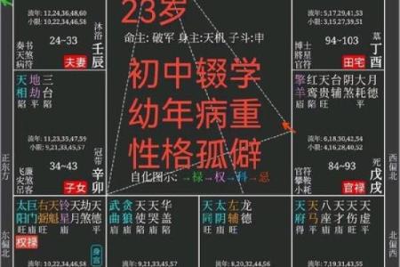 2025年3月7日子时女命紫微斗数全解盘