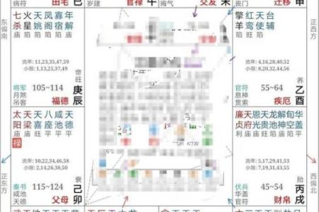 2025年3月11日子时男命紫微斗数全解盘