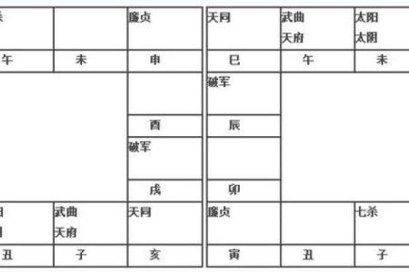 2025年3月25日寅时男命紫微斗数全解盘