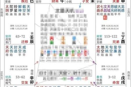 2025年3月3日丑时男命紫微斗数全解盘