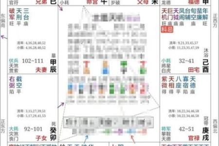 2025年2月21日卯时男命紫微斗数全解盘
