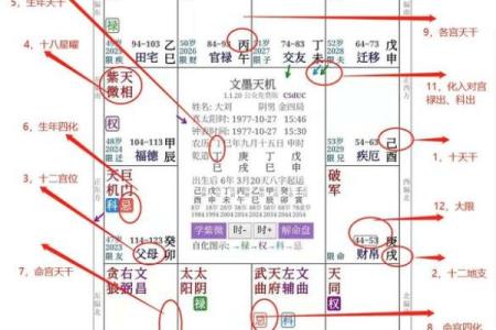 2025年3月20日子时男命紫微斗数全解盘