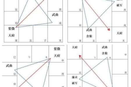 2025年3月27日子时男命紫微斗数全解盘