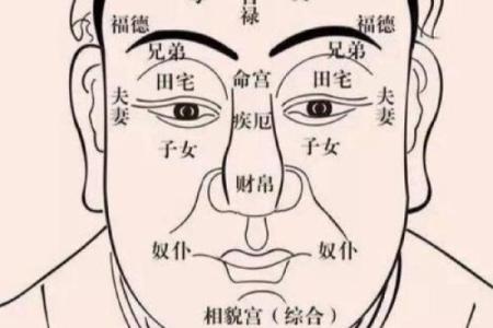 财帛宫看夫妻感情_财帛宫看夫妻相处方式