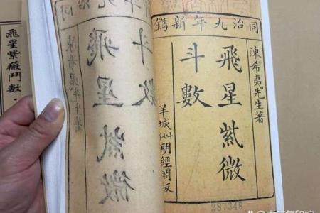 飞星紫微斗数_飞星紫微斗数顾祥弘简体版