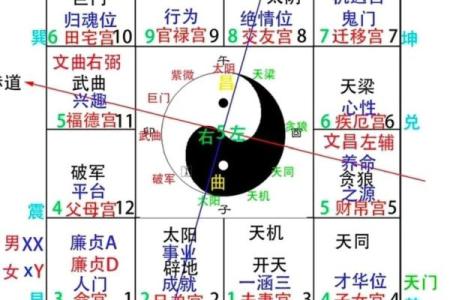 夫妻宫 太阳化忌 夫妻宫太阳化忌婚姻有实无名