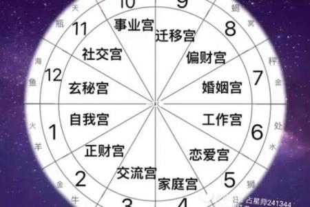 财帛宫的对宫是什么宫 财帛宫对宫揭秘影响财运的关键宫位解析