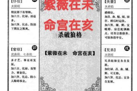 2025年4月13日亥时女命紫微斗数全解盘