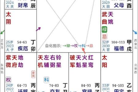 2025年4月15日酉时女命紫微斗数全解盘