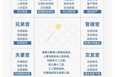 2025年4月25日酉时女命紫微斗数全解盘