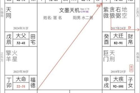 2025年4月6日未时男命紫微斗数全解盘