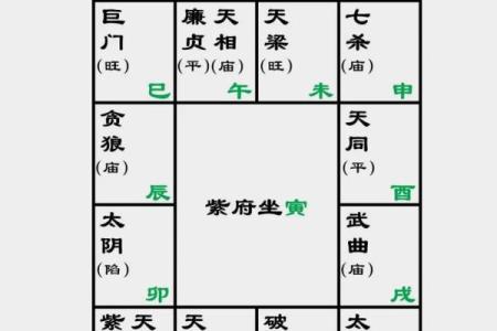 2025年4月17日戌时男命紫微斗数全解盘