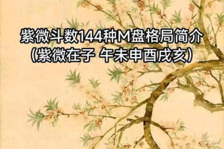 2025年4月13日巳时男命紫微斗数全解盘
