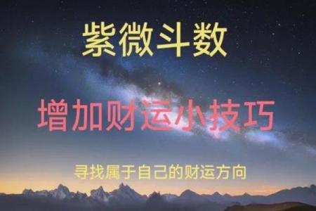 2025年4月30日酉时女命紫微斗数全解盘