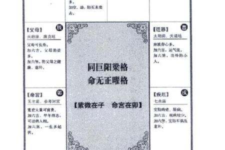 2025年4月6日子时男命紫微斗数全解盘