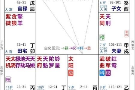 2025年4月11日亥时男命紫微斗数全解盘