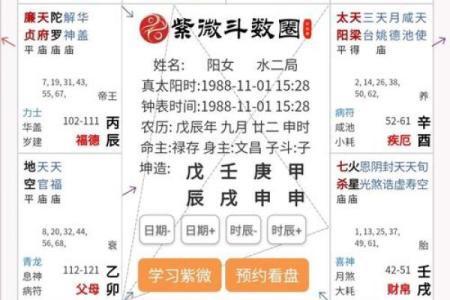 2025年4月22日申时女命紫微斗数全解盘