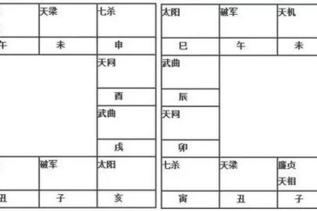 2025年4月25日亥时男命紫微斗数全解盘