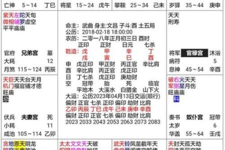 2025年4月18日酉时男命紫微斗数全解盘