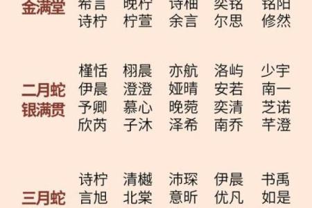 2019年6月20号丑时出生的男孩起名方法姓名
