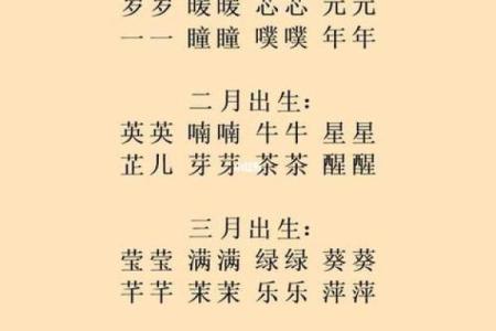 2019年5月29号寅时出生的男孩应该起什么样的名字姓名