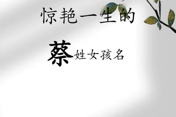 蔡姓男孩名字大全-蔡姓男孩起名字大全-蔡姓名字大全姓名