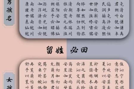 2019年3月20号申时出生的男孩起名方法姓名