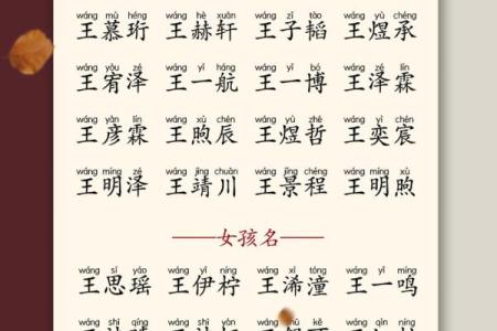 12月份出生的属蛇男孩起什么名字好姓名