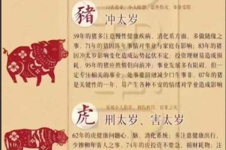 属猪巳时出生的男孩如何取名字，适合用什么字姓名