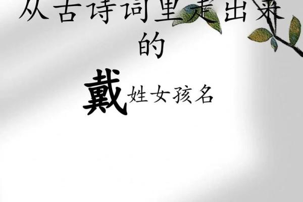 戴姓女孩名字大全-戴姓女孩起名字大全-戴姓名字大全姓名
