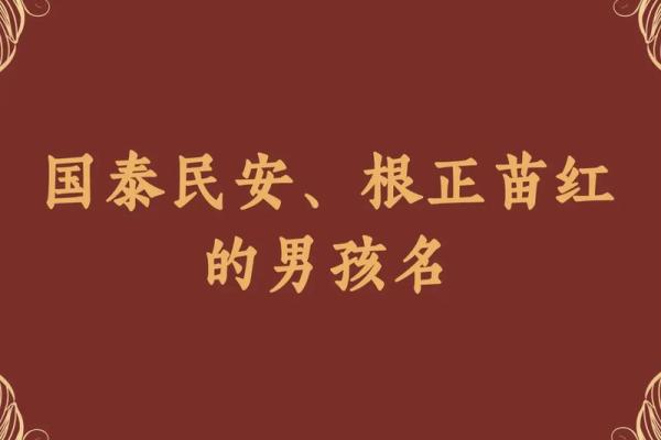 2019年6月27号卯时出生的男孩要怎么起名字姓名