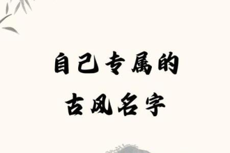 属蛇辰时出生的男孩如何取名字，适合用什么字姓名