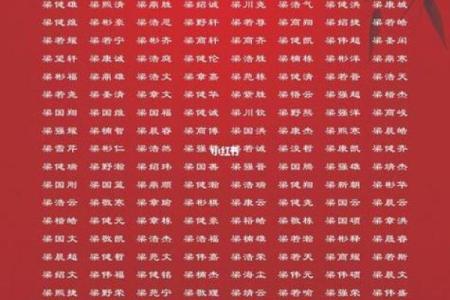 2019年6月23号子时出生的男孩如何起名姓名