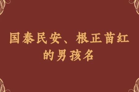 2019年6月27号卯时出生的男孩要怎么起名字姓名