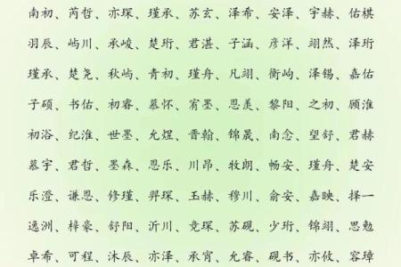 2019年6月10号丑时出生的男孩应该起什么样的名字姓名