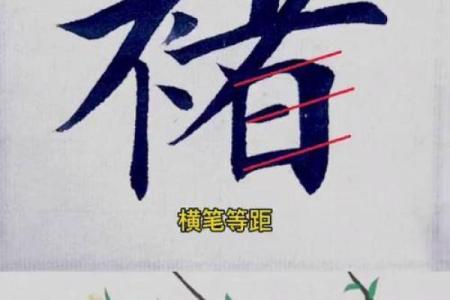 褚姓男孩名字大全-褚姓男孩起名字大全-褚姓名字大全姓名