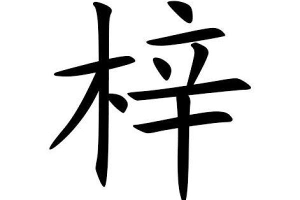 2019年3月22号辛时出生的男孩应该起什么样的名字姓名