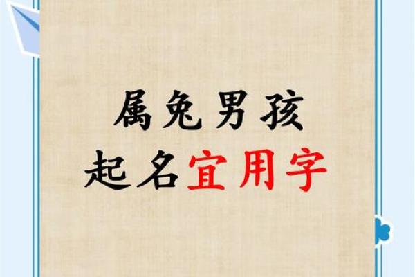 傍晚出生属兔的男孩应该怎么样取名字呢姓名