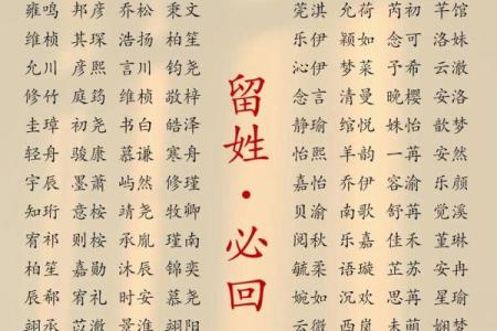 2019年4月11号辰时出生的男孩应该起什么样的名字姓名